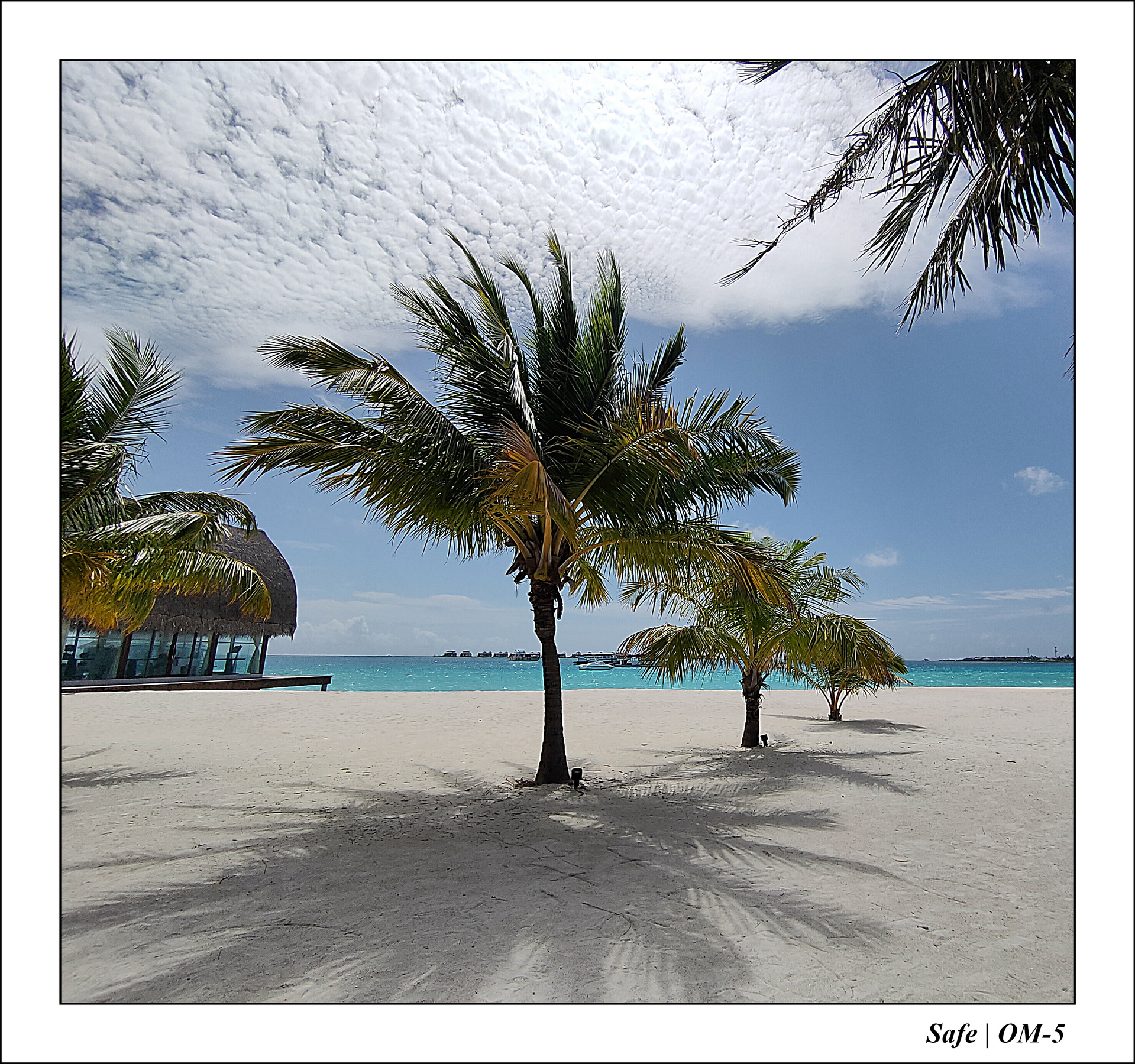 2024 - 08 -Angsana Velavaru - 26